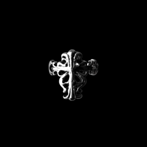 CH remnant - ring